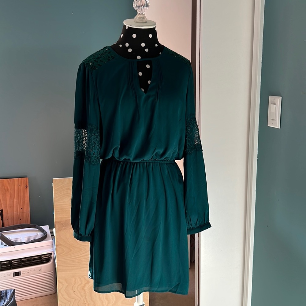 Never Worn Express Green chiffon dress